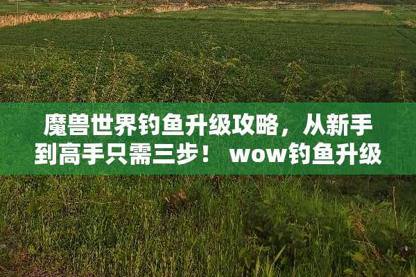 魔兽世界钓鱼升级攻略，从新手到高手只需三步！ wow钓鱼升级攻略