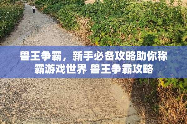 兽王争霸，新手必备攻略助你称霸游戏世界 兽王争霸攻略
