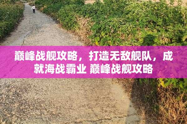 巅峰战舰攻略，打造无敌舰队，成就海战霸业 巅峰战舰攻略