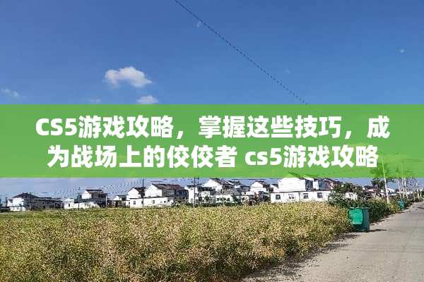 CS5游戏攻略，掌握这些技巧，成为战场上的佼佼者 cs5游戏攻略