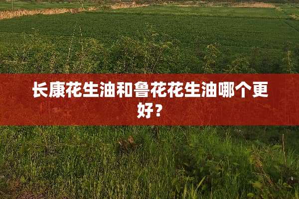 长康花生油和鲁花花生油哪个更好？