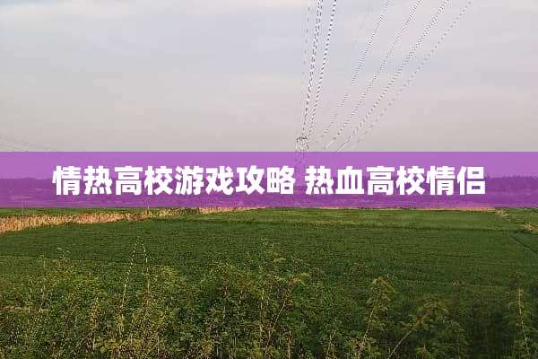 情热高校游戏攻略 热血高校情侣