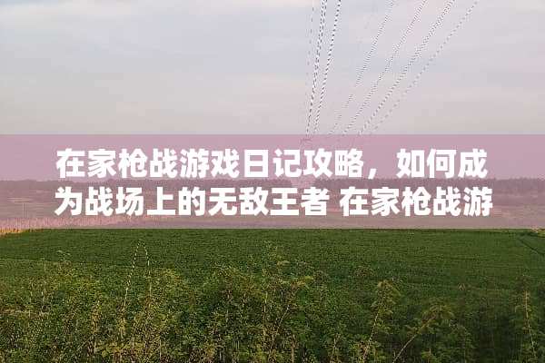 在家*战游戏日记攻略，如何成为战场上的无敌王者 在家*战游戏日记攻略