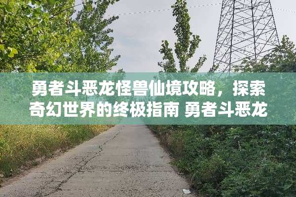 勇者斗恶龙怪兽仙境攻略，探索奇幻世界的终极指南 勇者斗恶龙怪兽仙境攻略