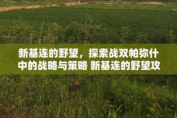 新基连的野望，探索战双帕弥什中的战略与策略 新基连的野望攻略