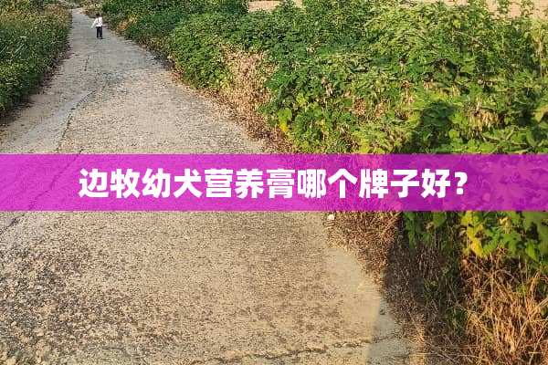 边牧幼犬营养膏哪个牌子好？