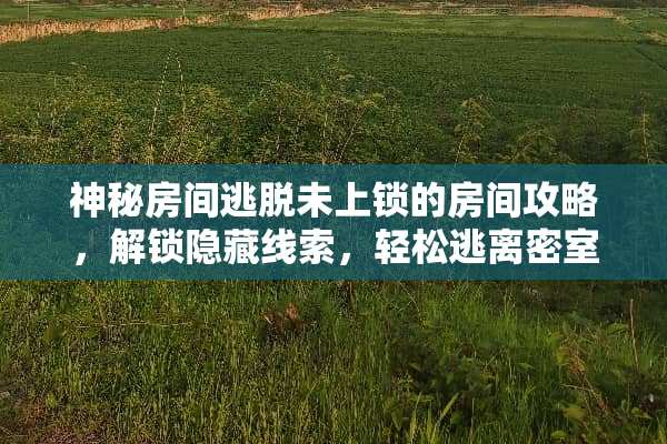 神秘房间逃脱未上锁的房间攻略，解锁隐藏线索，轻松逃离密室 未上锁的房间攻略
