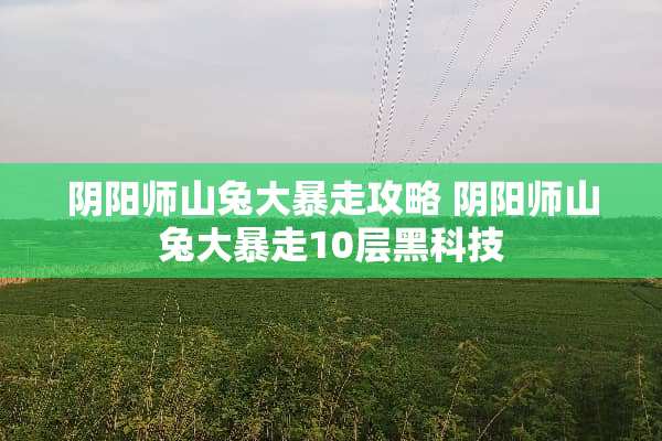 *阳师山兔大暴走攻略 *阳师山兔大暴走10层黑科技