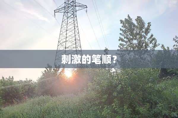 **的笔顺？