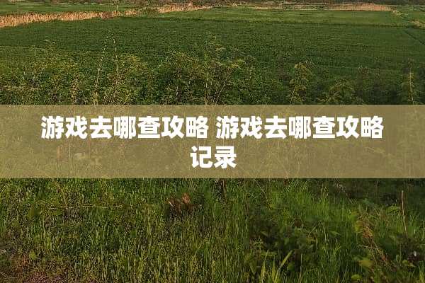 游戏去哪查攻略 游戏去哪查攻略记录