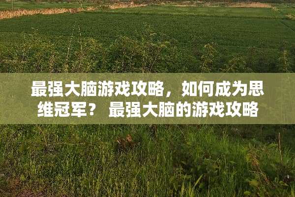 最强大脑游戏攻略，如何成为思维冠军？ 最强大脑的游戏攻略