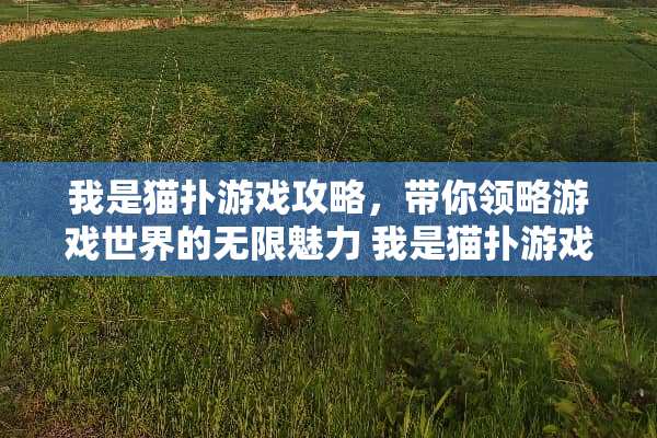 我是猫扑游戏攻略，带你领略游戏世界的无限魅力 我是猫扑游戏攻略