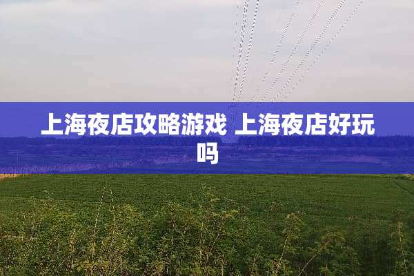 上海夜店攻略游戏 上海夜店好玩吗