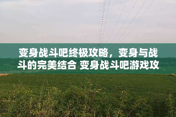 变身战斗吧终极攻略，变身与战斗的完美结合 变身战斗吧游戏攻略