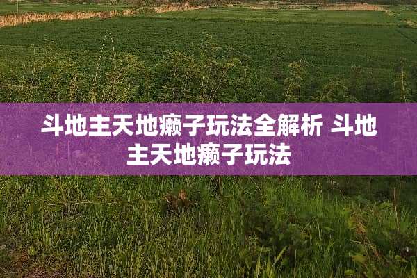 ***天地癞子玩法全解析 ***天地癞子玩法