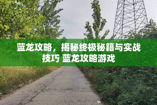 蓝龙攻略，揭秘终极秘籍与实战技巧 蓝龙攻略游戏