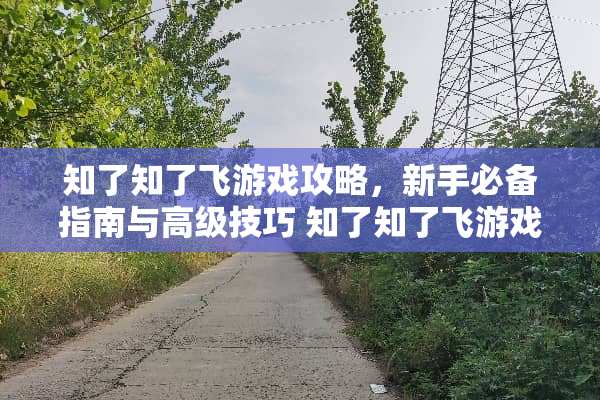 知了知了飞游戏攻略，新手必备指南与高级技巧 知了知了飞游戏攻略
