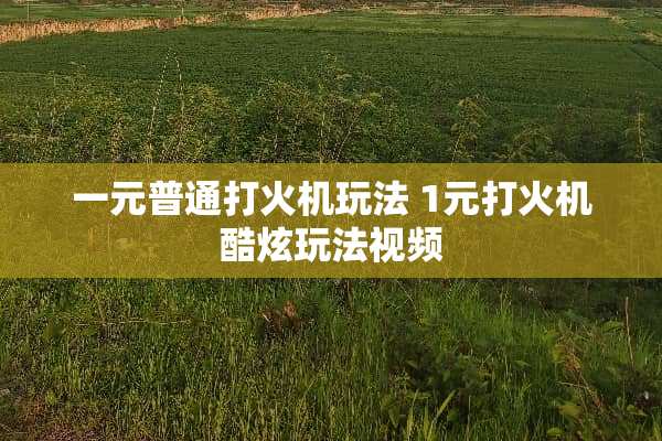 一元普通打火机玩法 1元打火机酷炫玩法视频