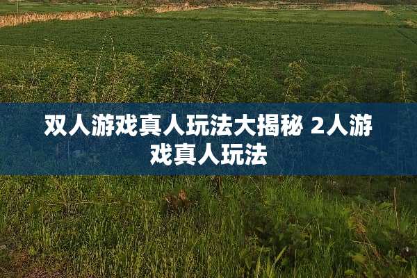 双人游戏真人玩法大揭秘 2人游戏真人玩法