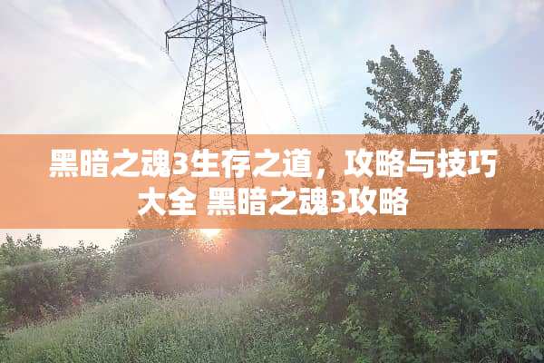 黑暗之魂3生存之道，攻略与技巧大全 黑暗之魂3攻略