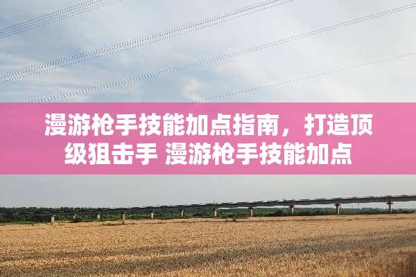 漫游*手技能加点指南，打造****手 漫游*手技能加点
