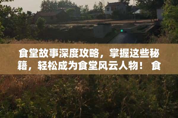 食堂故事深度攻略，掌握这些秘籍，轻松成为食堂风云人物！ 食堂故事攻略