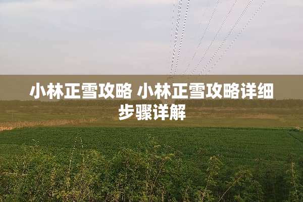 小林正雪攻略 小林正雪攻略详细步骤详解