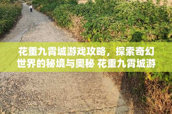花重九霄城游戏攻略，探索奇幻世界的秘境与奥秘 花重九霄城游戏攻略