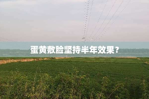 蛋黄敷脸坚持半年效果？