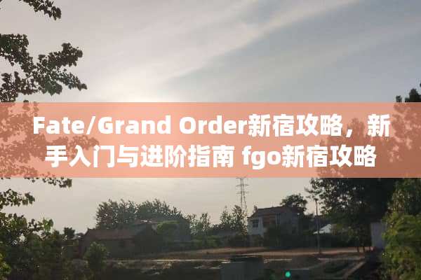 Fate/Grand Order新宿攻略，新手入门与进阶指南 fgo新宿攻略