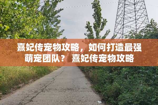 熹妃传宠物攻略，如何打造最强萌宠团队？ 熹妃传宠物攻略