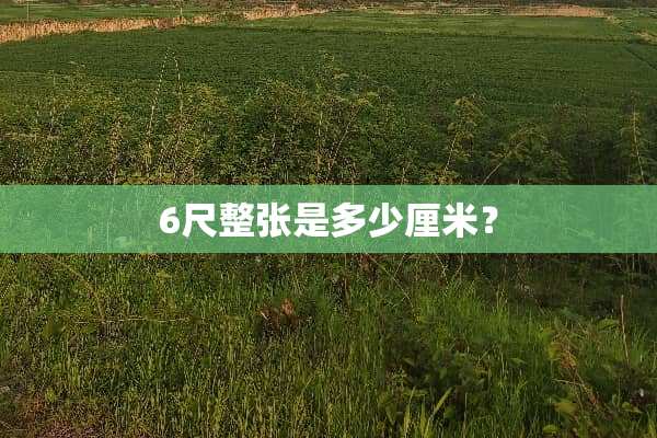 6尺整张是多少厘米？