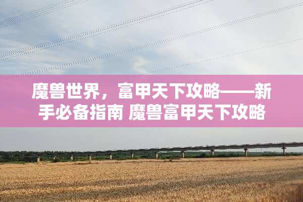 魔兽世界，富甲天下攻略——新手必备指南 魔兽富甲天下攻略
