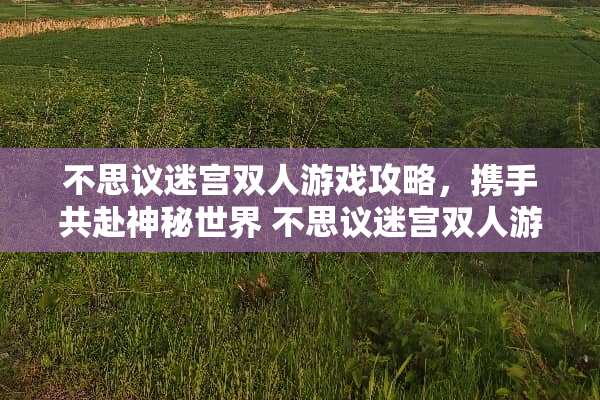 不思议迷宫双人游戏攻略，携手共赴神秘世界 不思议迷宫双人游戏攻略