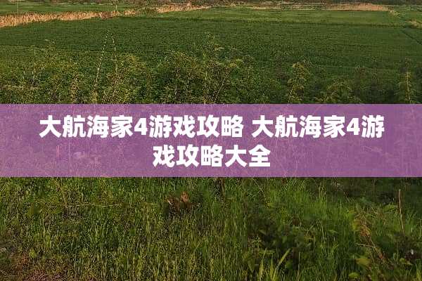 大航海家4游戏攻略 大航海家4游戏攻略大全