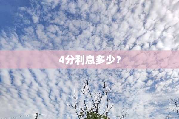 4分利息多少？