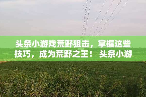 头条小游戏荒野**，掌握这些技巧，成为荒野之王！ 头条小游戏荒野**攻略