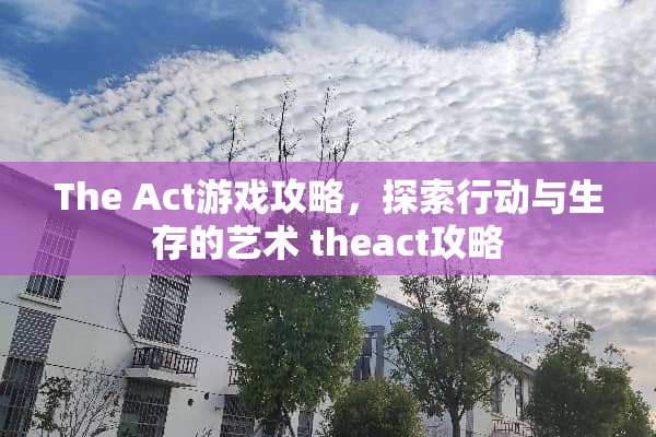 The Act游戏攻略，探索行动与生存的艺术 theact攻略