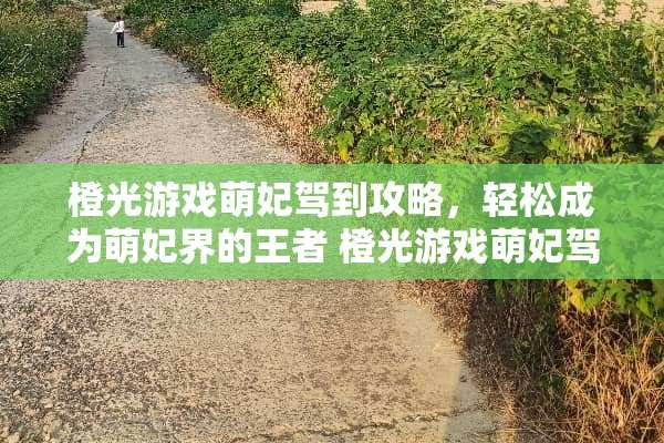 橙光游戏萌妃驾到攻略，轻松成为萌妃界的王者 橙光游戏萌妃驾到攻略