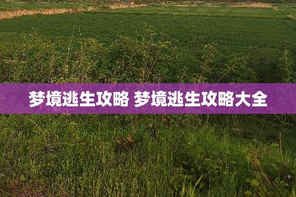 梦境逃生攻略 梦境逃生攻略大全