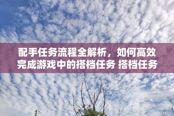 配手任务流程全解析，如何高效完成游戏中的搭档任务 搭档任务流程攻略游戏