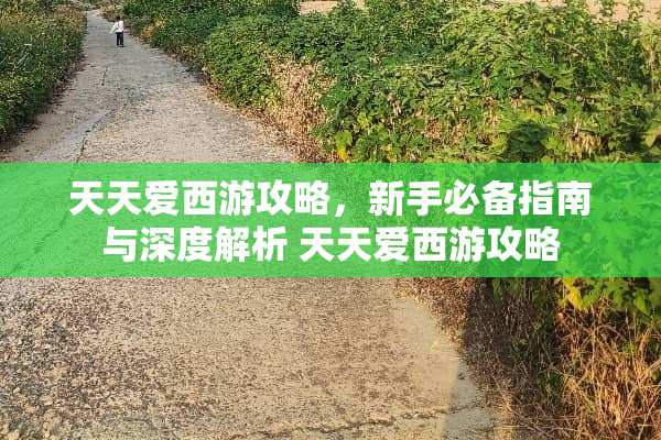 天天爱西游攻略，新手必备指南与深度解析 天天爱西游攻略