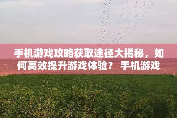 手机游戏攻略获取途径大揭秘，如何高效提升游戏体验？ 手机游戏攻略的来源