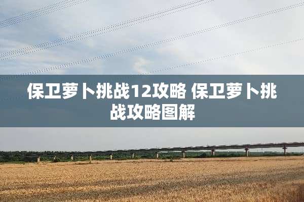保卫萝卜挑战12攻略 保卫萝卜挑战攻略图解