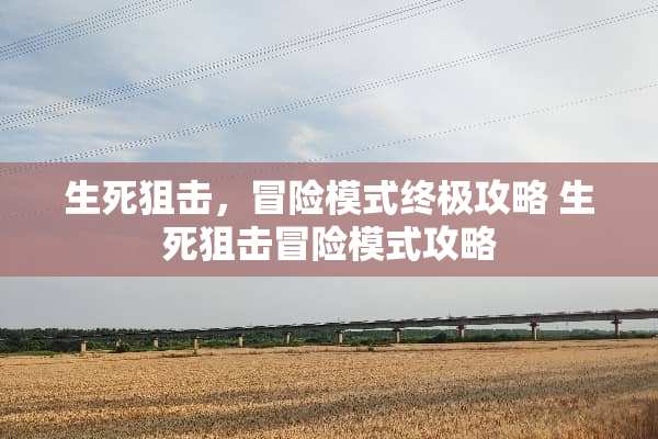 生死**，冒险模式终极攻略 生死**冒险模式攻略