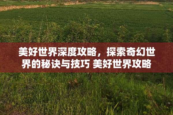 美好世界深度攻略，探索奇幻世界的秘诀与技巧 美好世界攻略