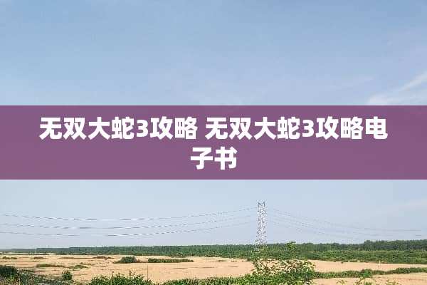 无双大蛇3攻略 无双大蛇3攻略电子书