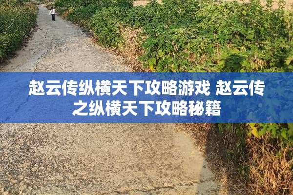 赵云传纵横天下攻略游戏 赵云传之纵横天下攻略秘籍