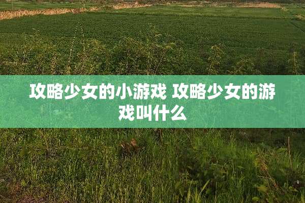 攻略少女的小游戏 攻略少女的游戏叫什么