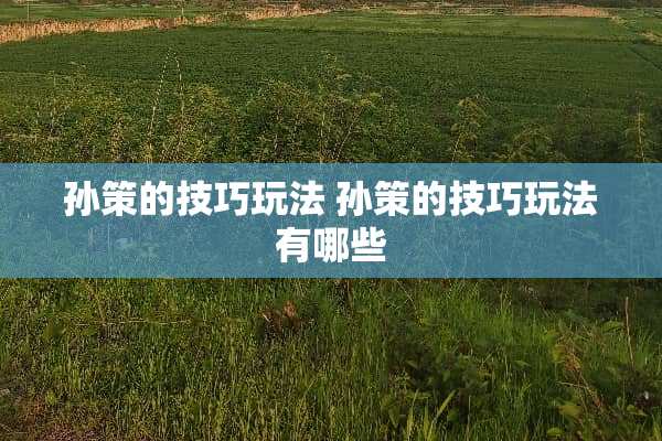 孙策的技巧玩法 孙策的技巧玩法有哪些